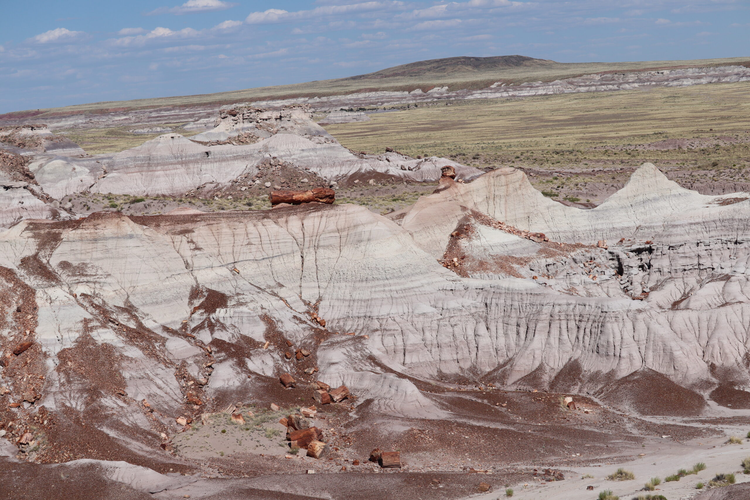 Painted Desert and Petrified Logs